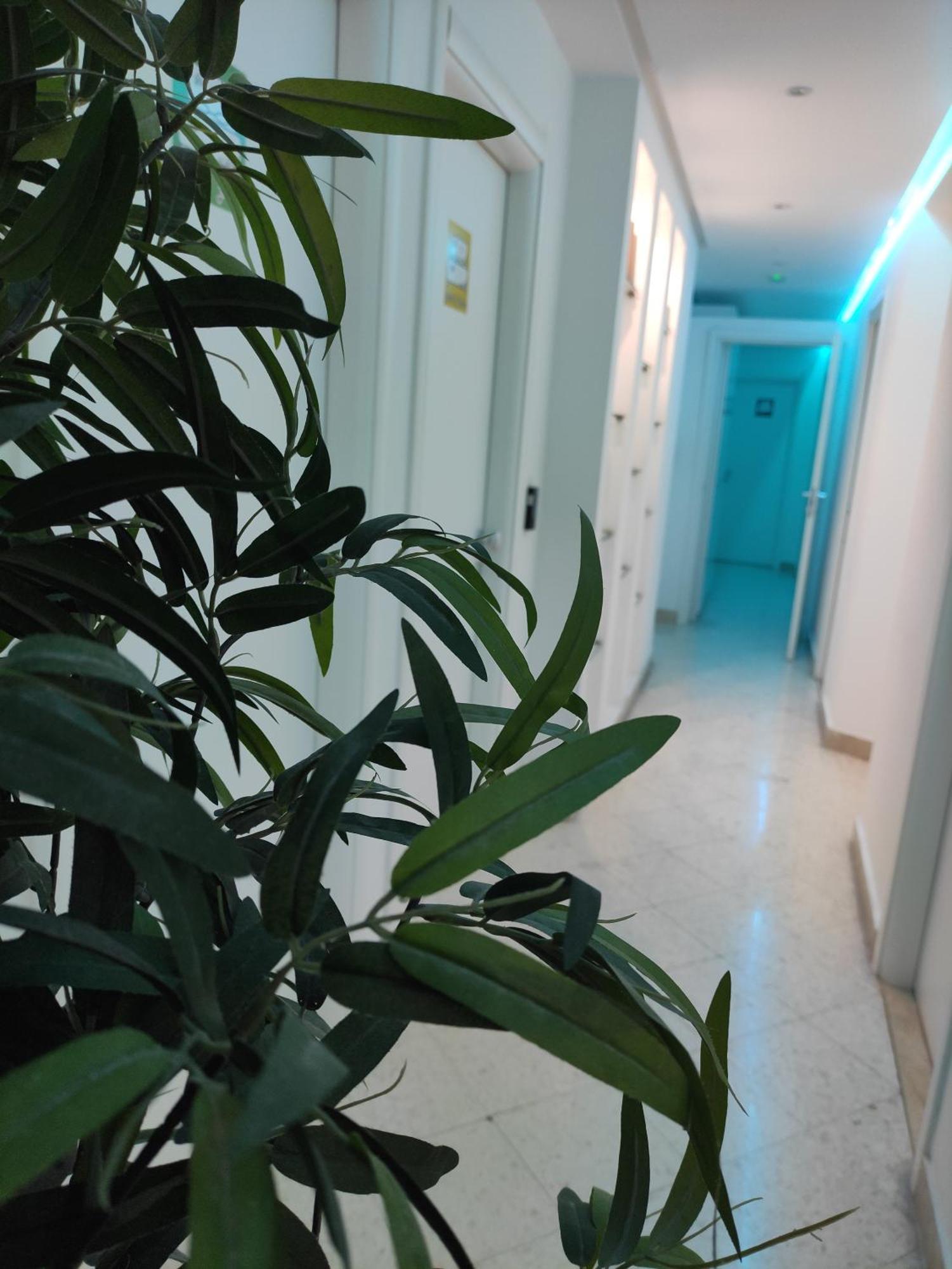 Palermo Central B&B מראה חיצוני תמונה